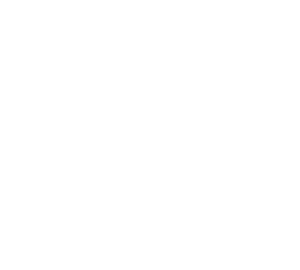 Pecinka Ferri 50th Anniversary